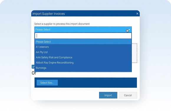 Automatic supplier invoice importing